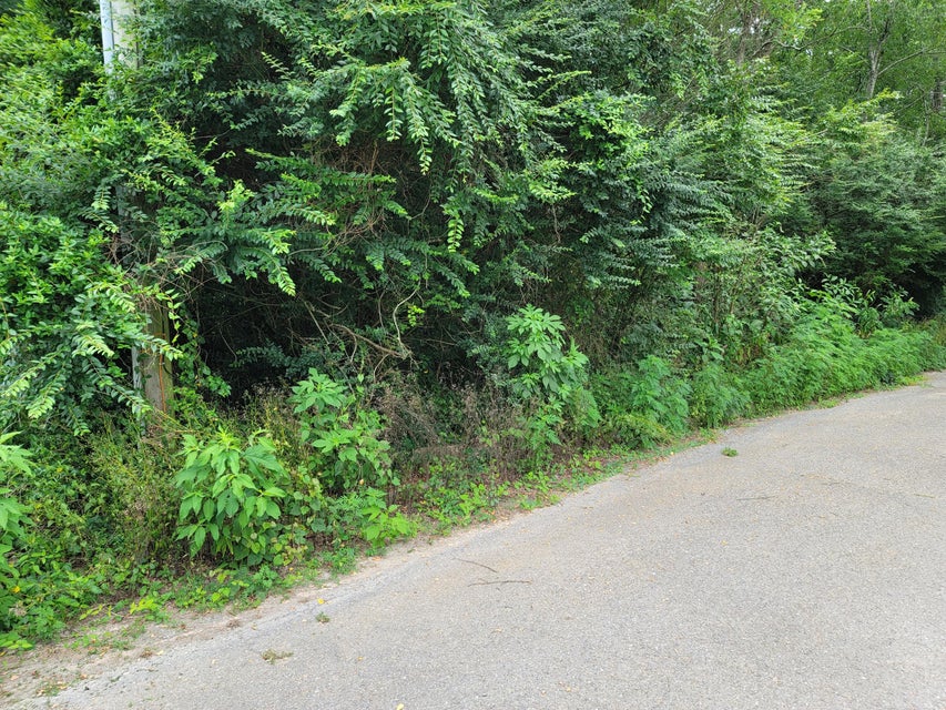 Photo #2: 000 Fawn Trail Drive