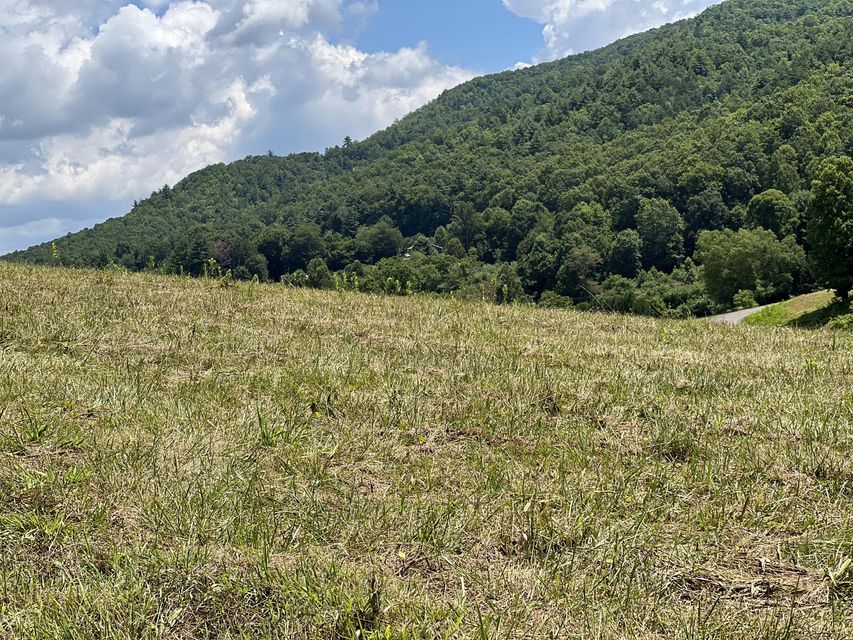 Photo #11: Lot 64 Of Dry Hill Road