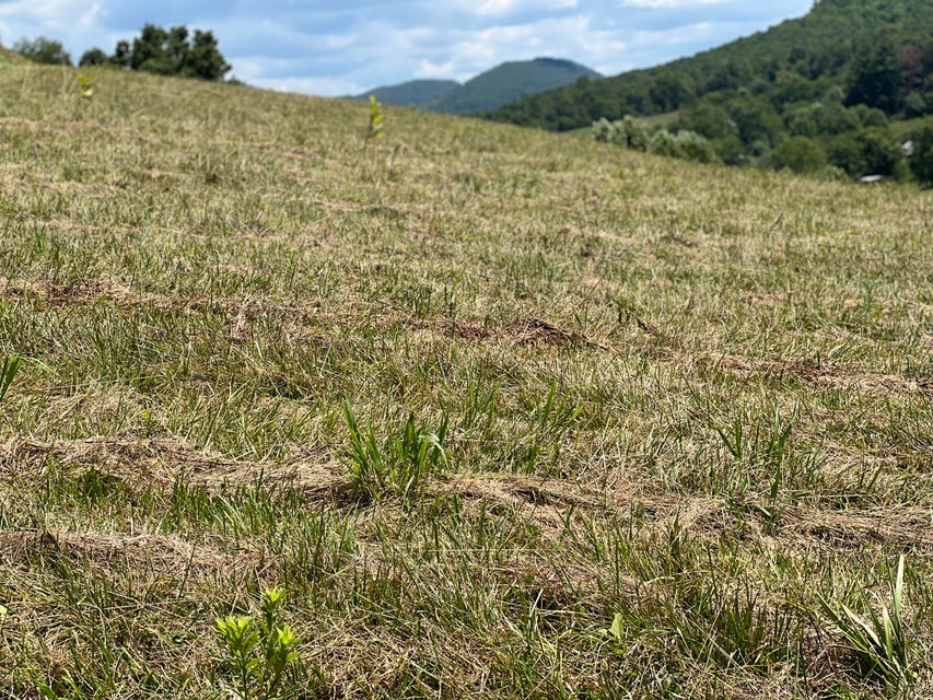 Photo #13: Lot 64 Of Dry Hill Road
