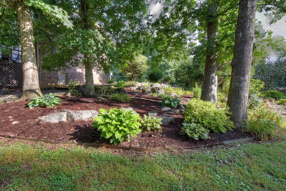 Photo #44: 105 Potomac Circle