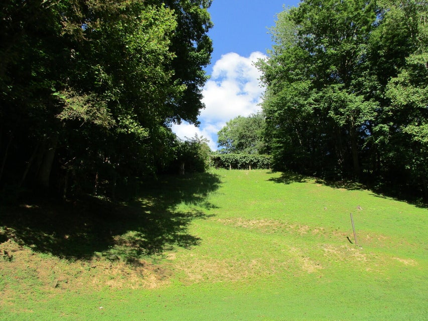 Photo #7: 115 Paul Blevins Rd