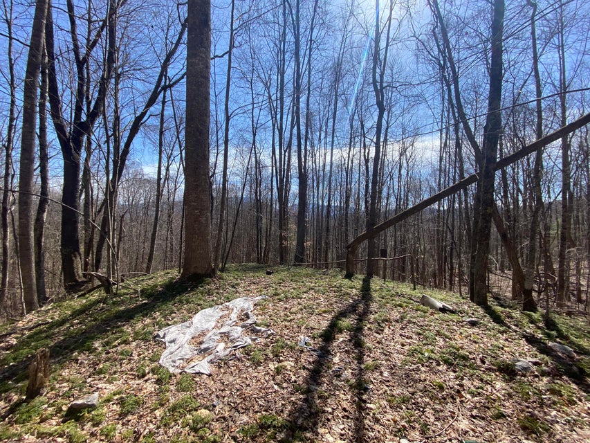 Photo #19: Tbd Bulldog Road