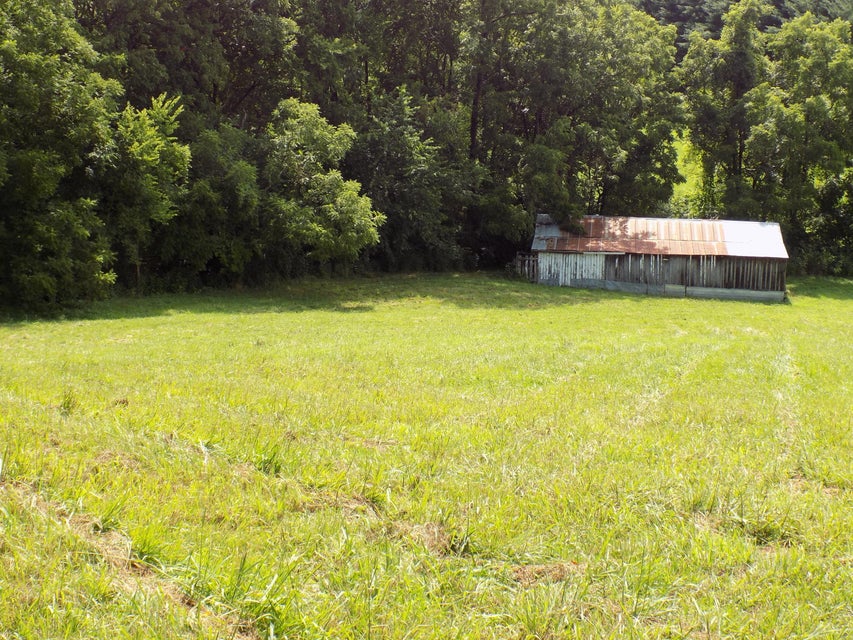 Photo #40: 220 Clifford Price Loop