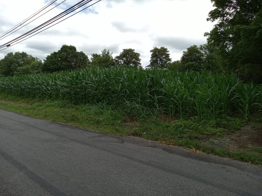 Photo #2: 272 Seven Mile Ford Road