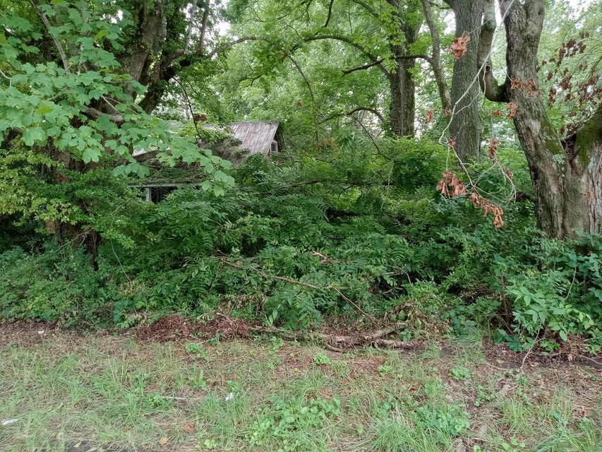 Photo #12: 272 Seven Mile Ford Road