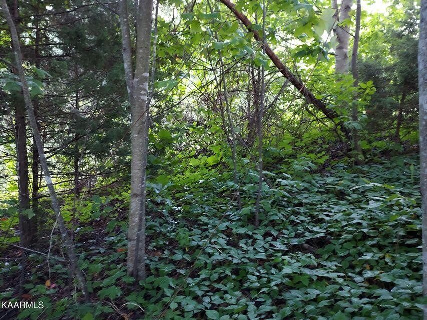 Photo #8: Tbd Luther Villa Road
