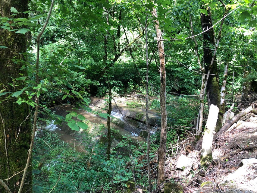 Photo #24: 4849 Anglers Way Road