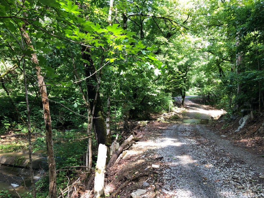 Photo #25: 4849 Anglers Way Road