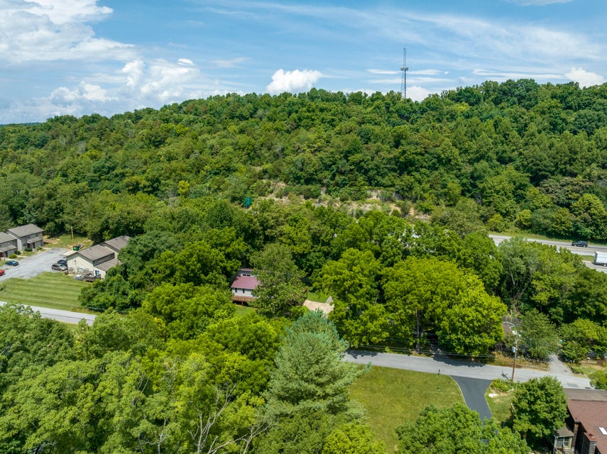 Photo #55: 1441 Shipley Ferry Road