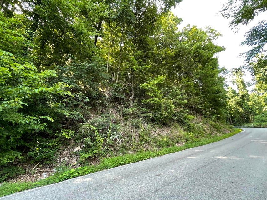 Photo #11: Lot 4 Bluff Mountain Rd Road