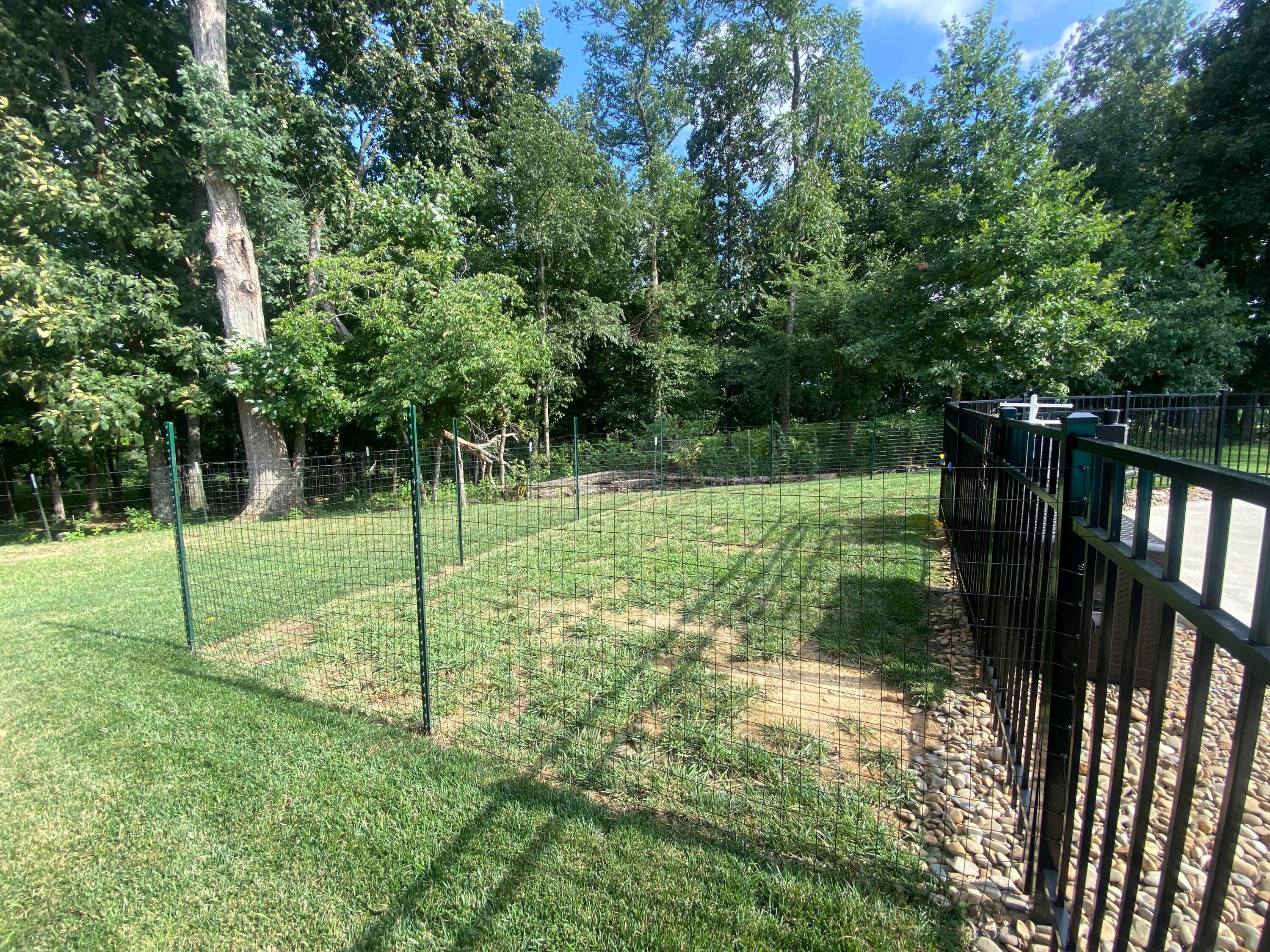 Photo #57: 306 Saddle Ridge Court