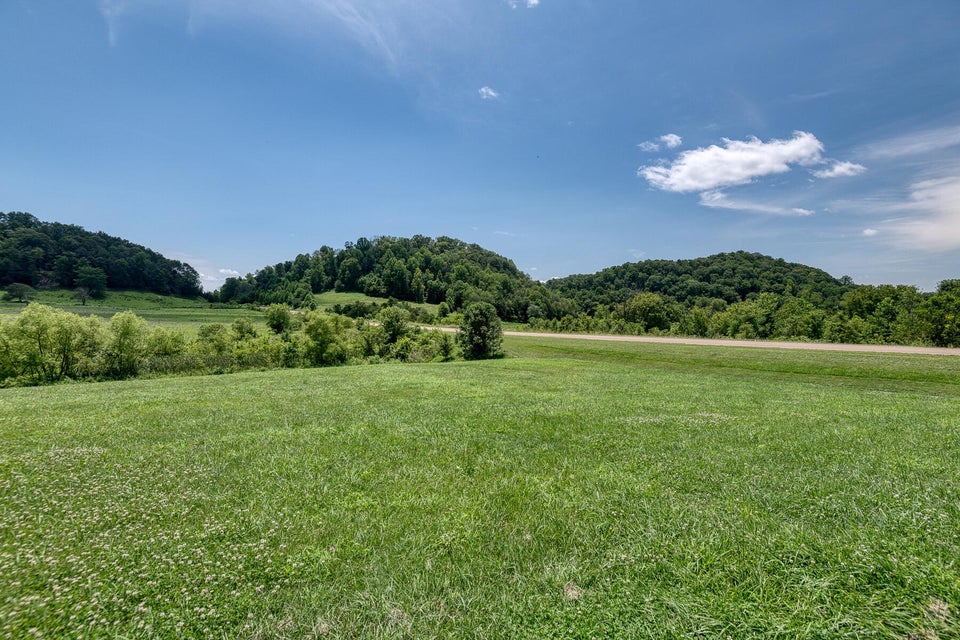 Photo #4: Tbd Bradley Creek Road