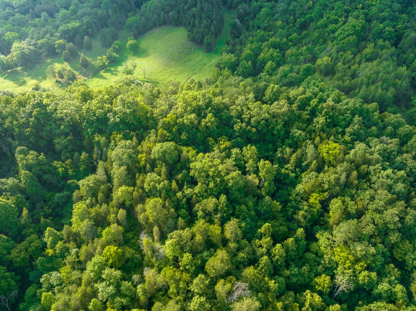 Photo #32: 2139 Beech Creek Road