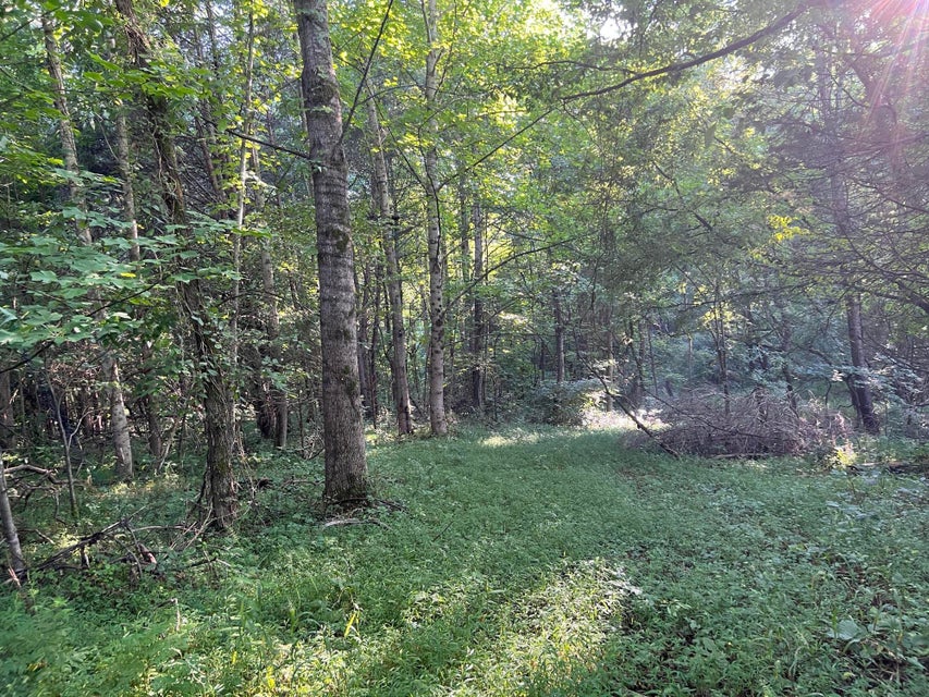 Photo #10: Tbd Highway 81