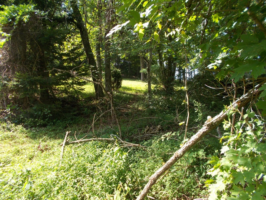 Photo #3: Tbd Shaffertown Rd