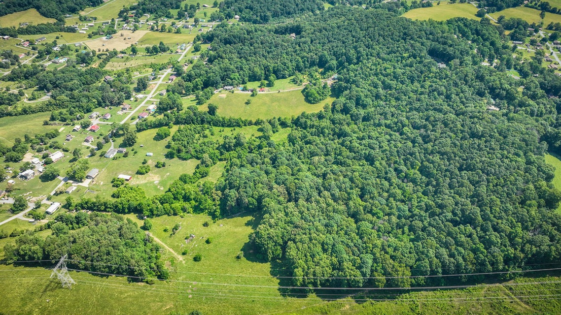 Photo #82: 507 Bell Hollow Road