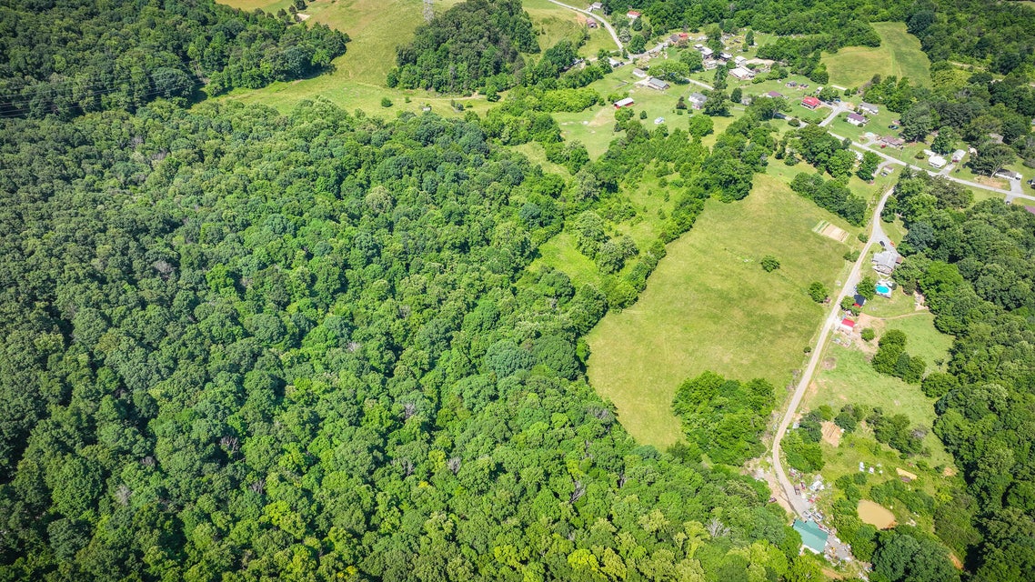 Photo #85: 507 Bell Hollow Road