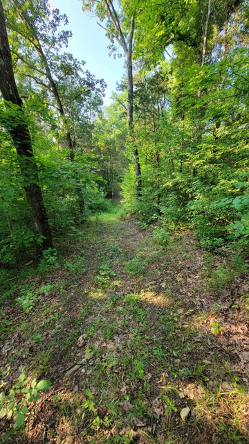 Photo #27: 0 Honeycutt Road