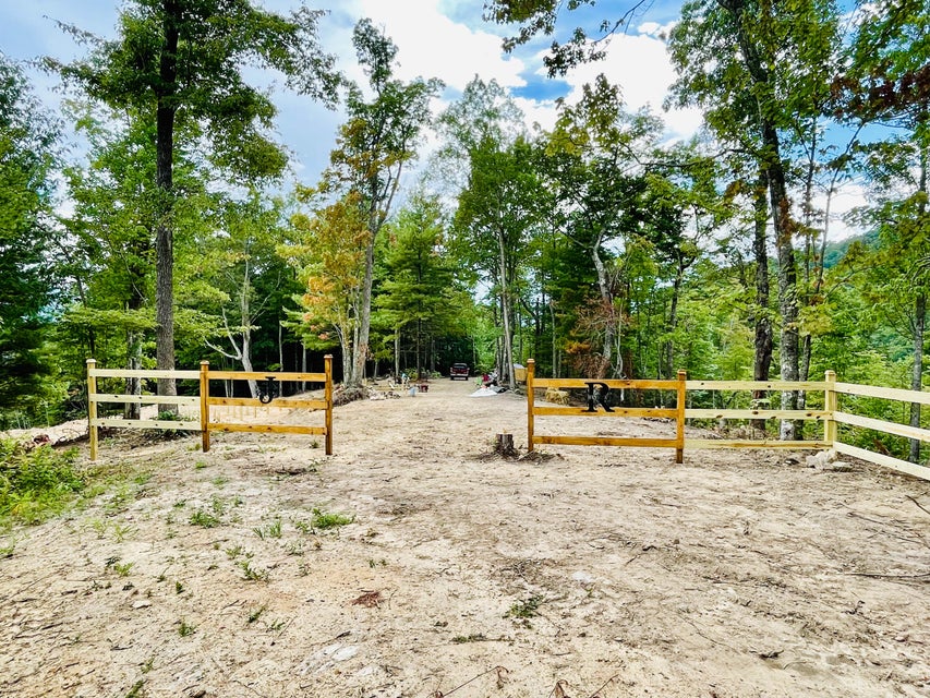 Photo #5: 000 Copperhead Hollow Road
