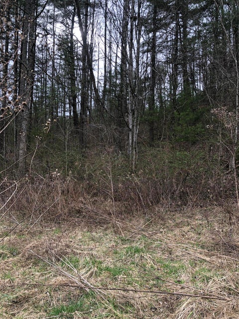 Photo #16: 4964 Highway 321