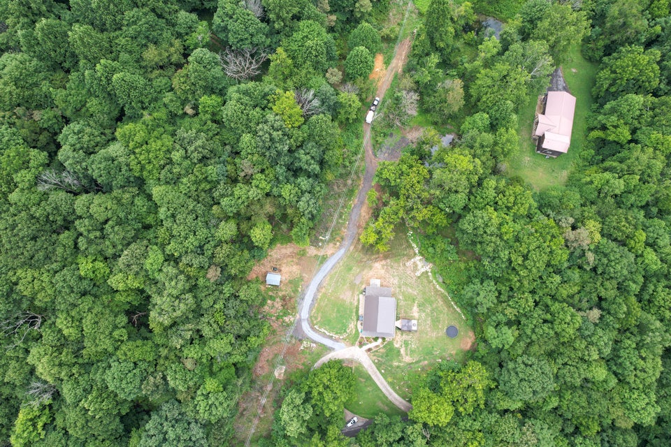 Photo #64: 437 Bluff Road