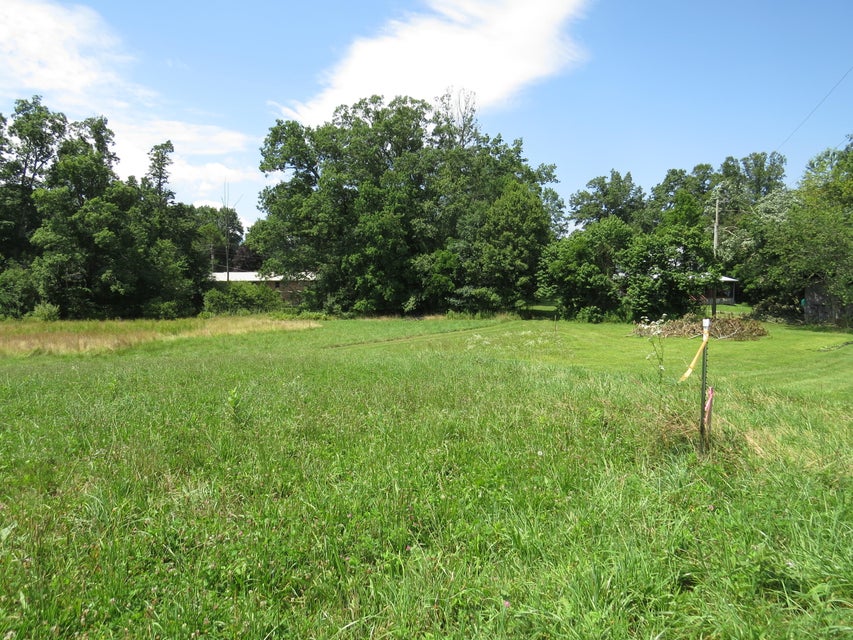 Photo #3: 0 Coeburn Mountain Road