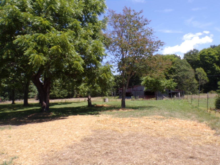 Photo #12: 1385 Avery Branch Road