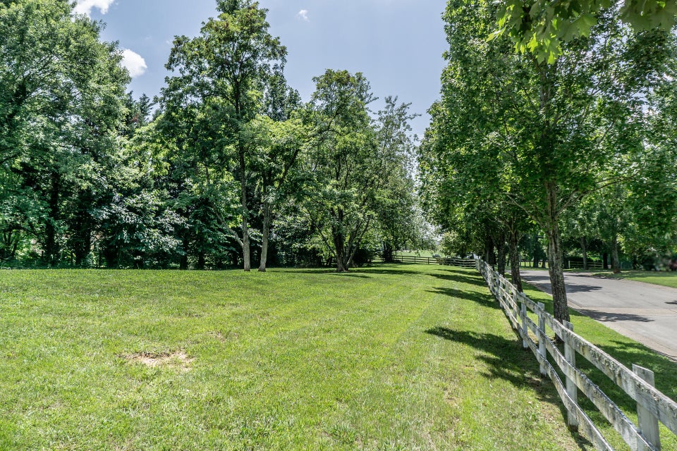 Photo #3: 104 Lexington Court