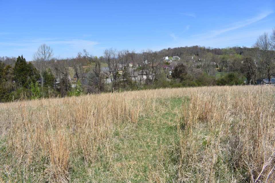 Photo #9: Tbd Tucker Lane