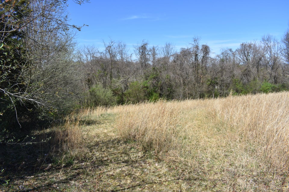 Photo #15: Tbd Tucker Lane