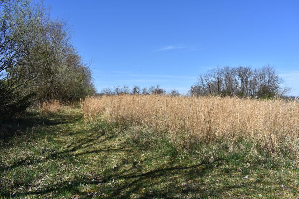 Photo #18: Tbd Tucker Lane