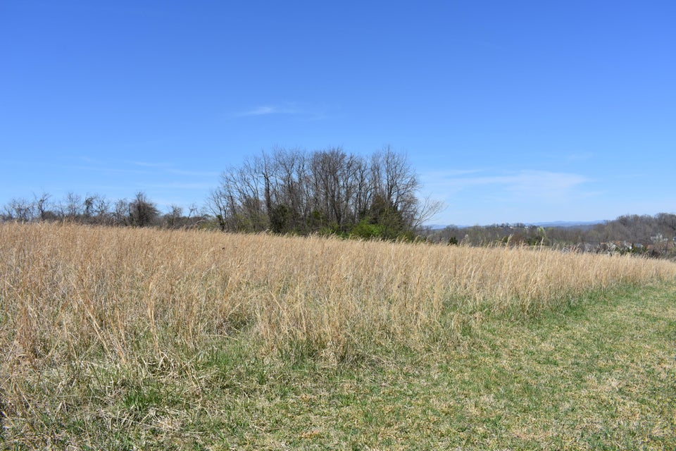Photo #22: Tbd Tucker Lane