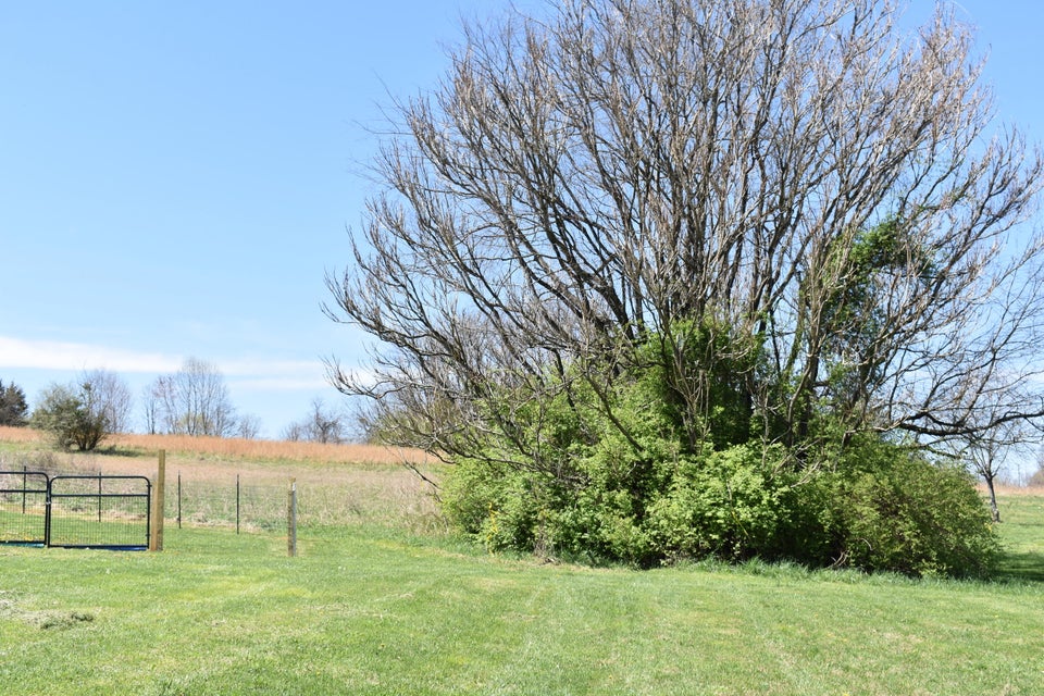 Photo #30: Tbd Tucker Lane