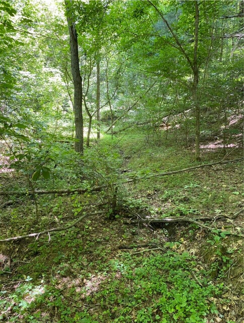 Photo #7: Tbd Large Hollow Road