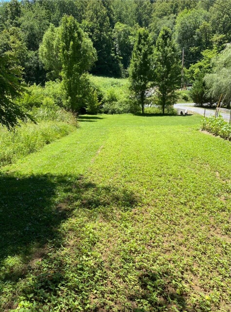 Photo #5: Tbd Large Hollow Road