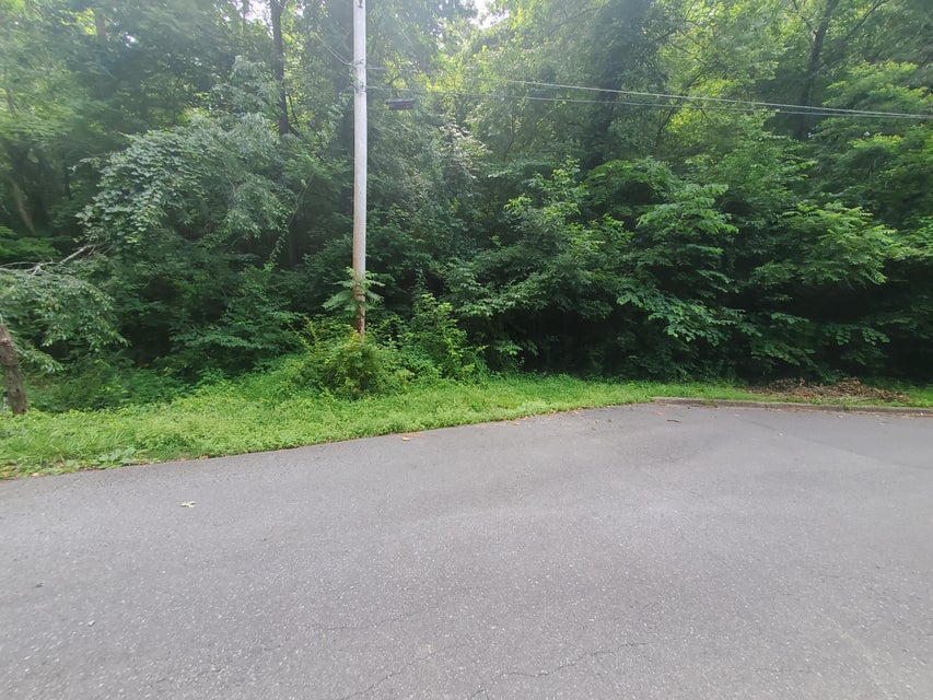 Photo #2: Lot 7 & 5.75 Acres -Hickory Springs Road