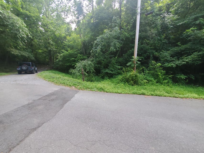 Photo #3: Lot 7 & 5.76 Acres -Hickory Springs Road
