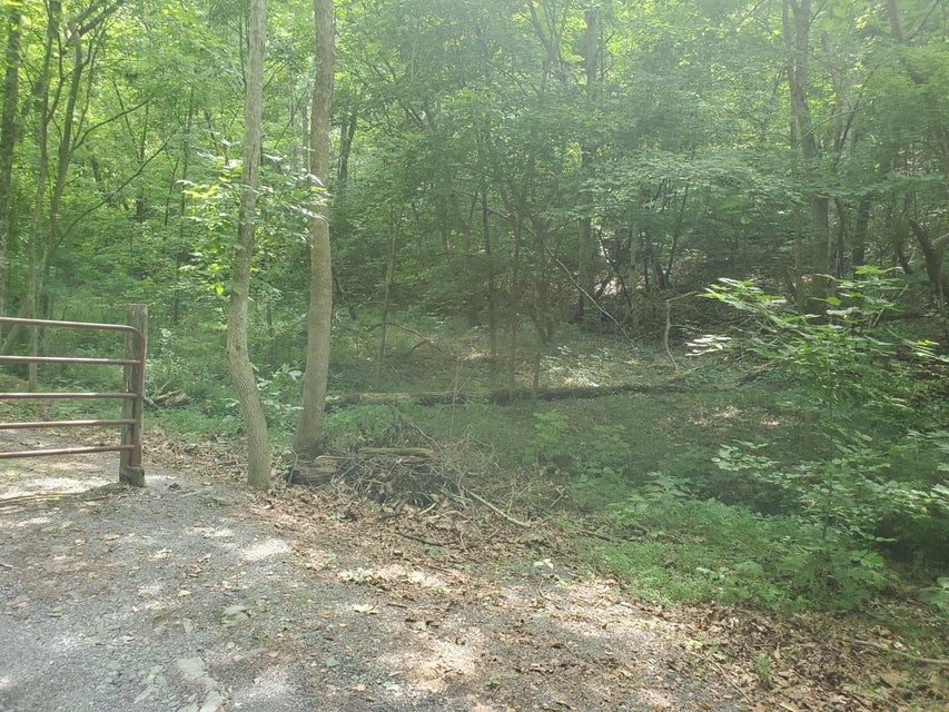 Photo #4: Lot 7 & 5.76 Acres -Hickory Springs Road