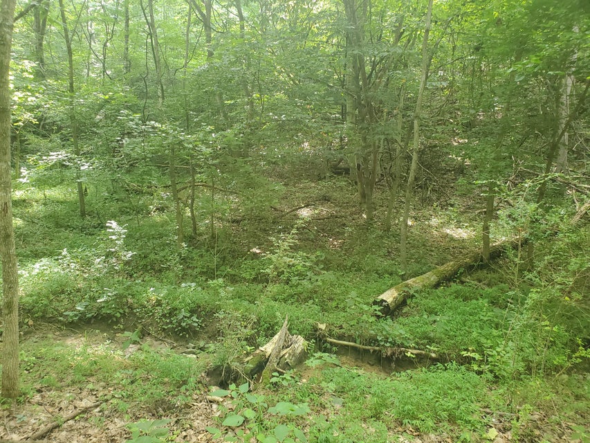 Photo #5: Lot 7 & 5.76 Acres -Hickory Springs Road