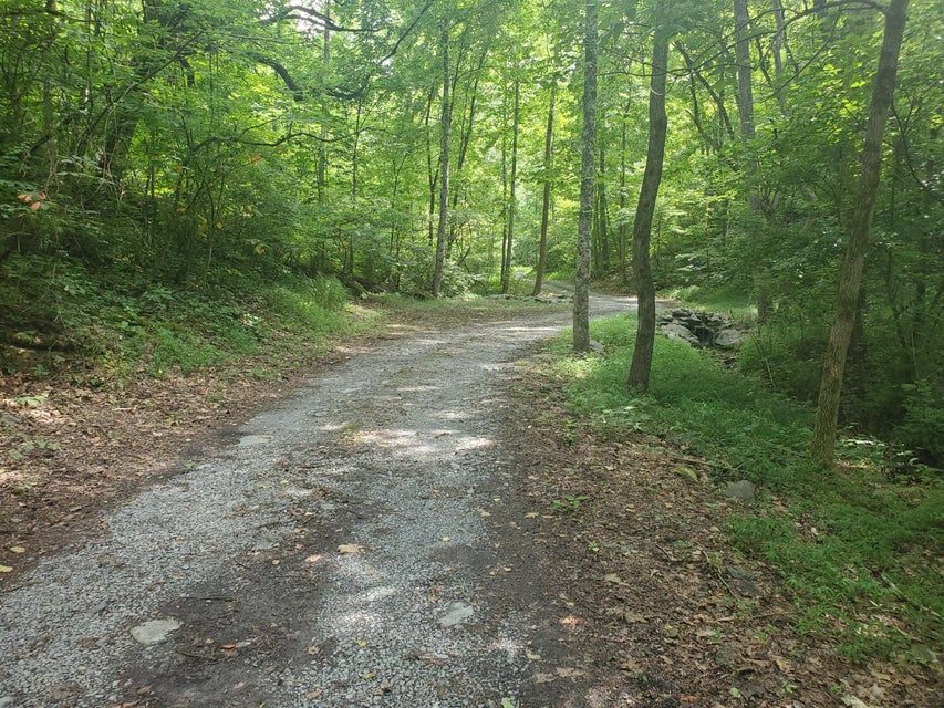 Photo #6: Lot 7 & 5.76 Acres -Hickory Springs Road