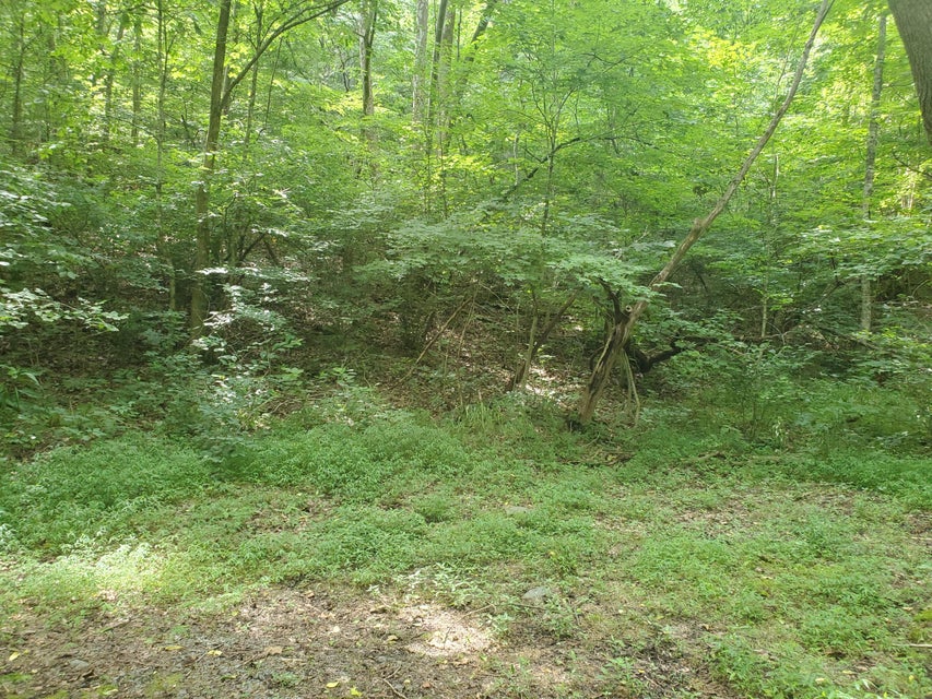 Photo #7: Lot 7 & 5.76 Acres -Hickory Springs Road