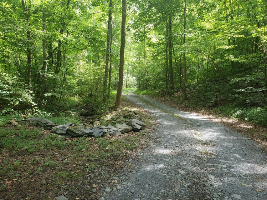 Photo #8: Lot 7 & 5.76 Acres -Hickory Springs Road