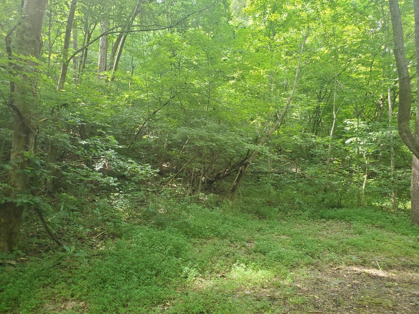 Photo #12: Lot 7 & 5.75 Acres -Hickory Springs Road