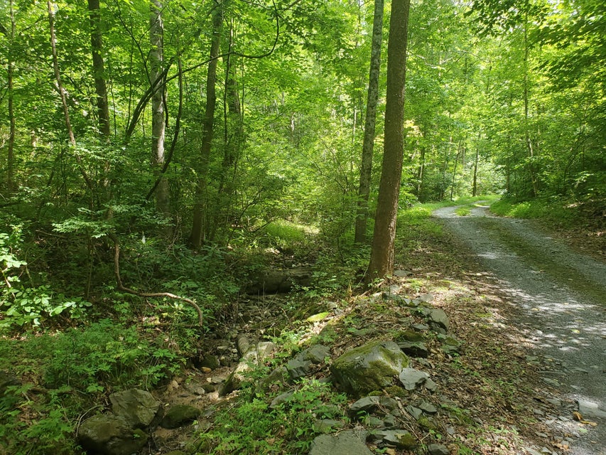 Photo #13: Lot 7 & 5.76 Acres -Hickory Springs Road