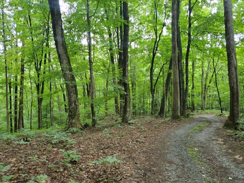 Photo #14: Lot 7 & 5.76 Acres -Hickory Springs Road
