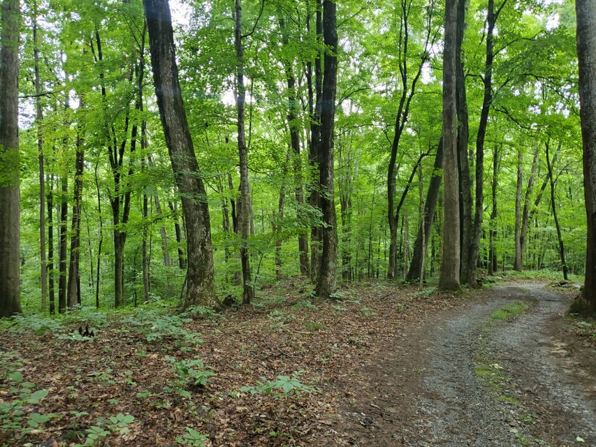 Photo #16: Lot 7 & 5.76 Acres -Hickory Springs Road