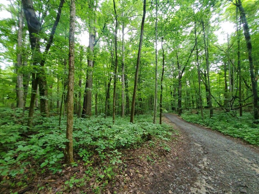 Photo #19: Lot 7 & 5.76 Acres -Hickory Springs Road