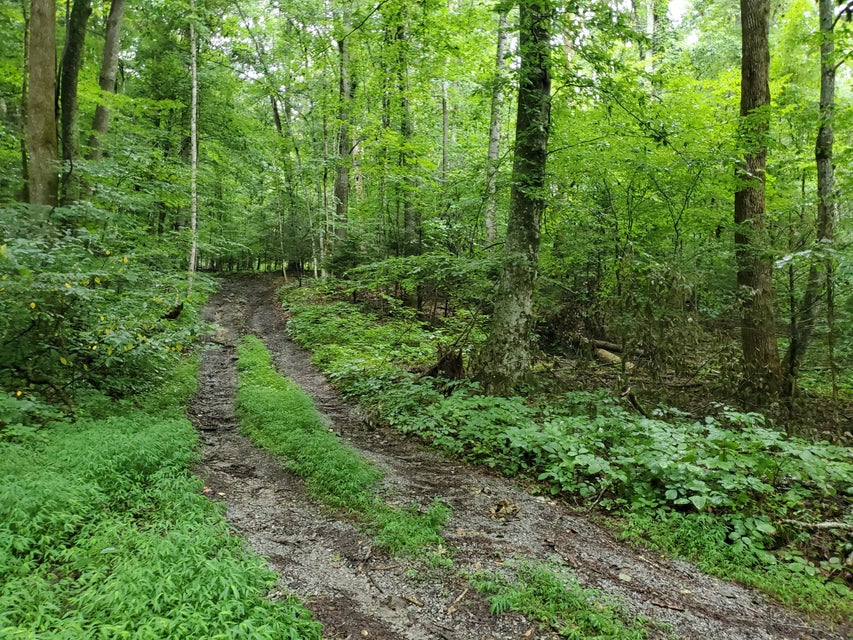 Photo #24: Lot 7 & 5.76 Acres -Hickory Springs Road