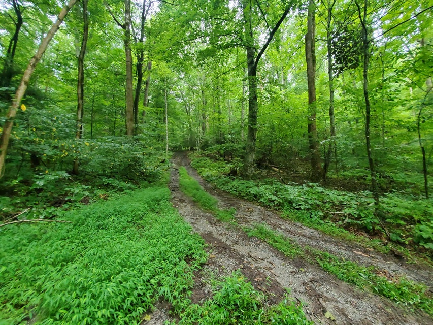 Photo #25: Lot 7 & 5.75 Acres -Hickory Springs Road