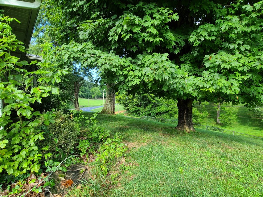 Photo #23: 250 Riverview Drive